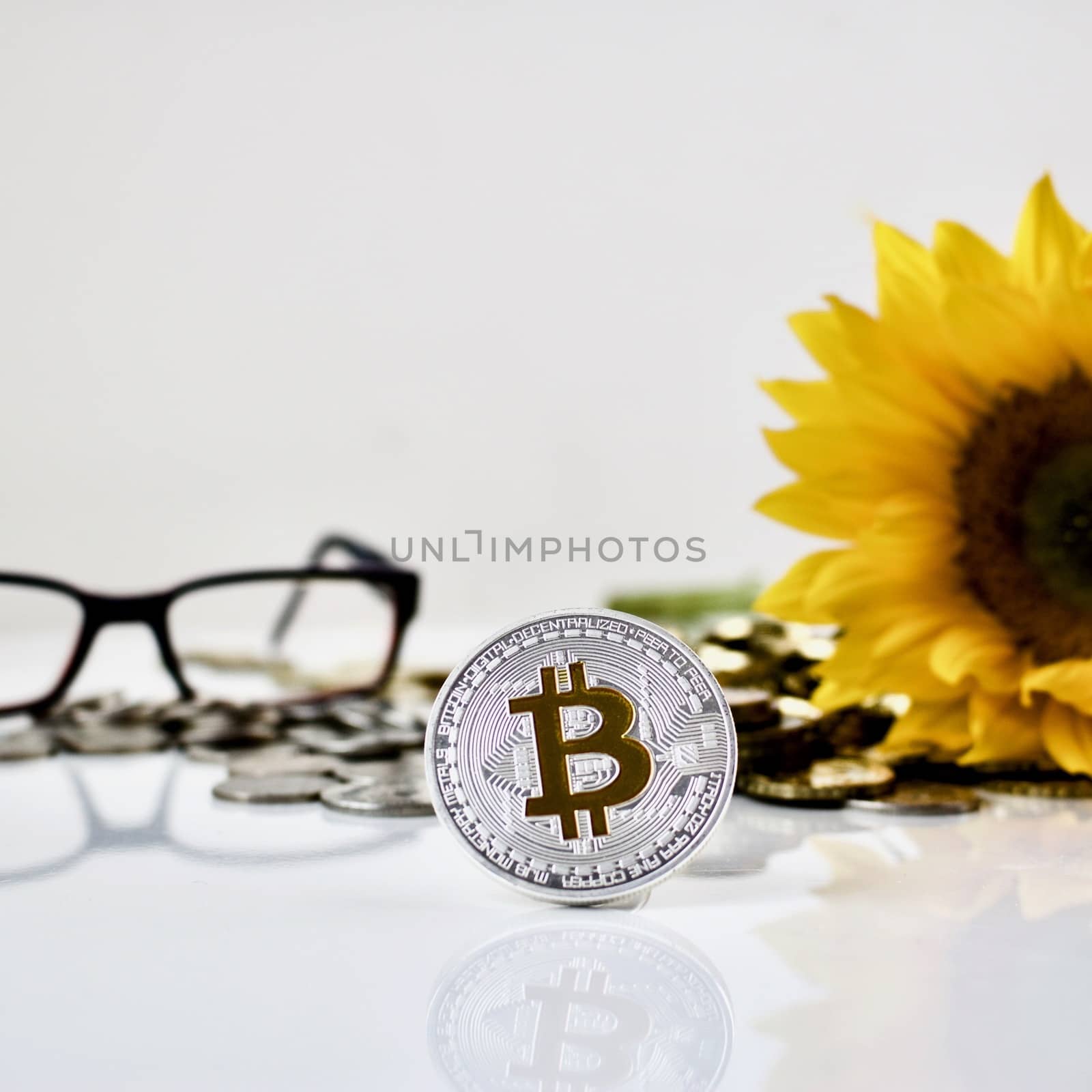 Cryptocurrency physical silver bitcoin coin with sunflower and red glasses