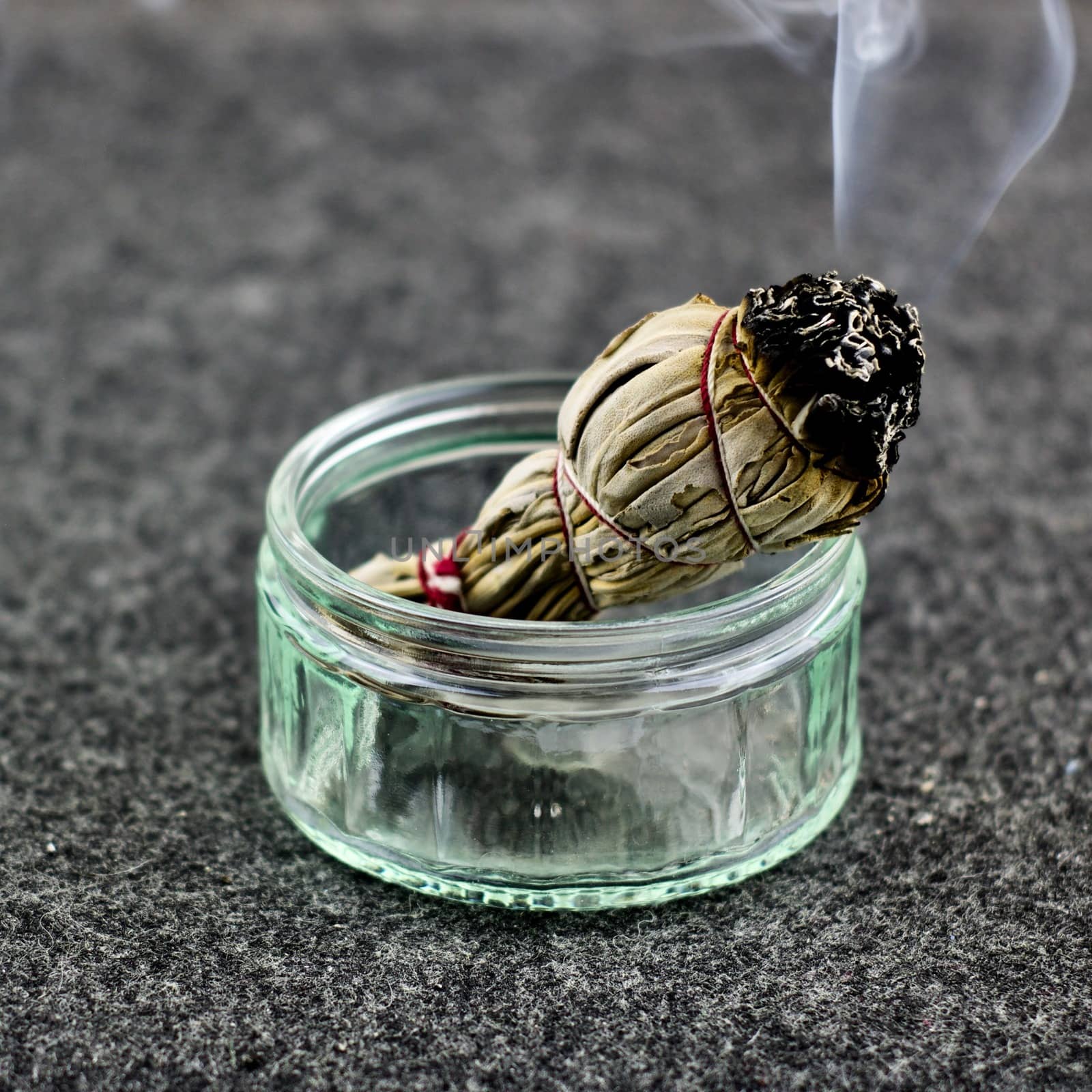 White salvia chives burns in a glass