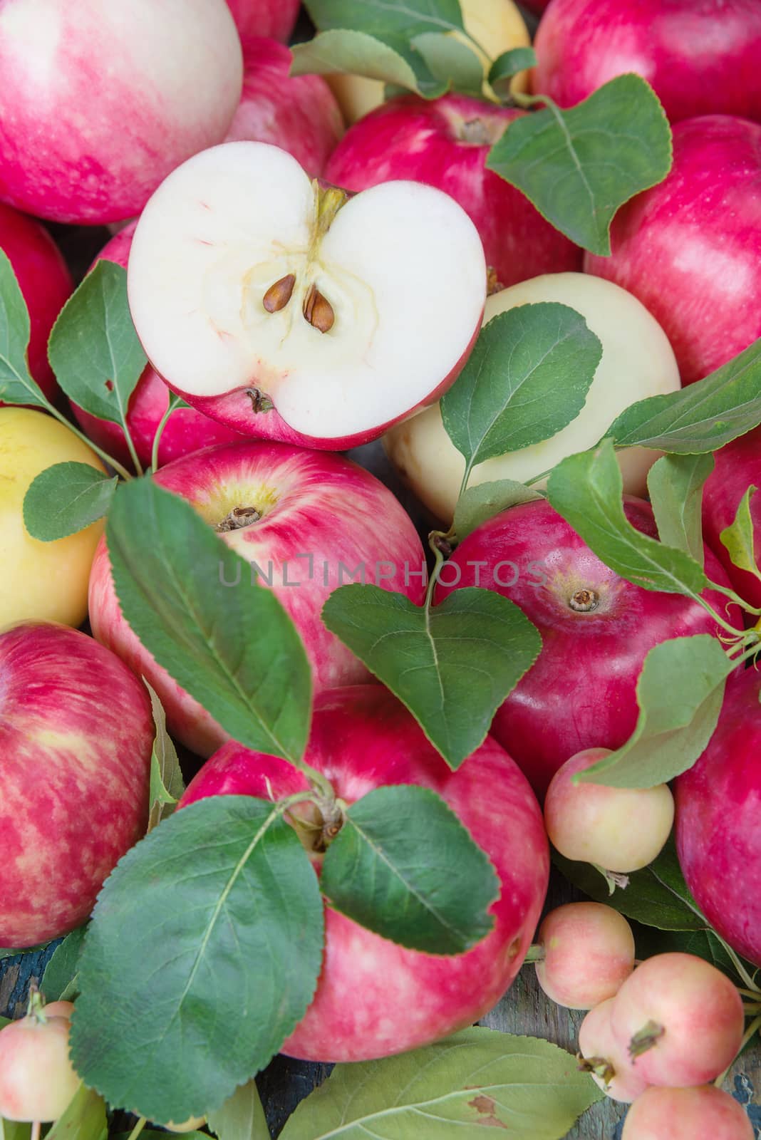 Many red apples by Epitavi