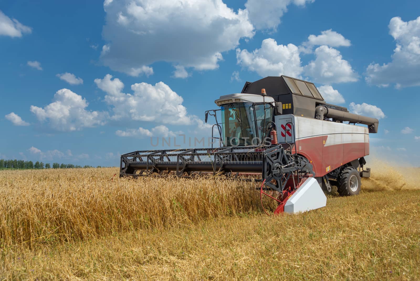 Combine harvester gather the harvest on a large field of ripe wheat against a blue sky with white clouds