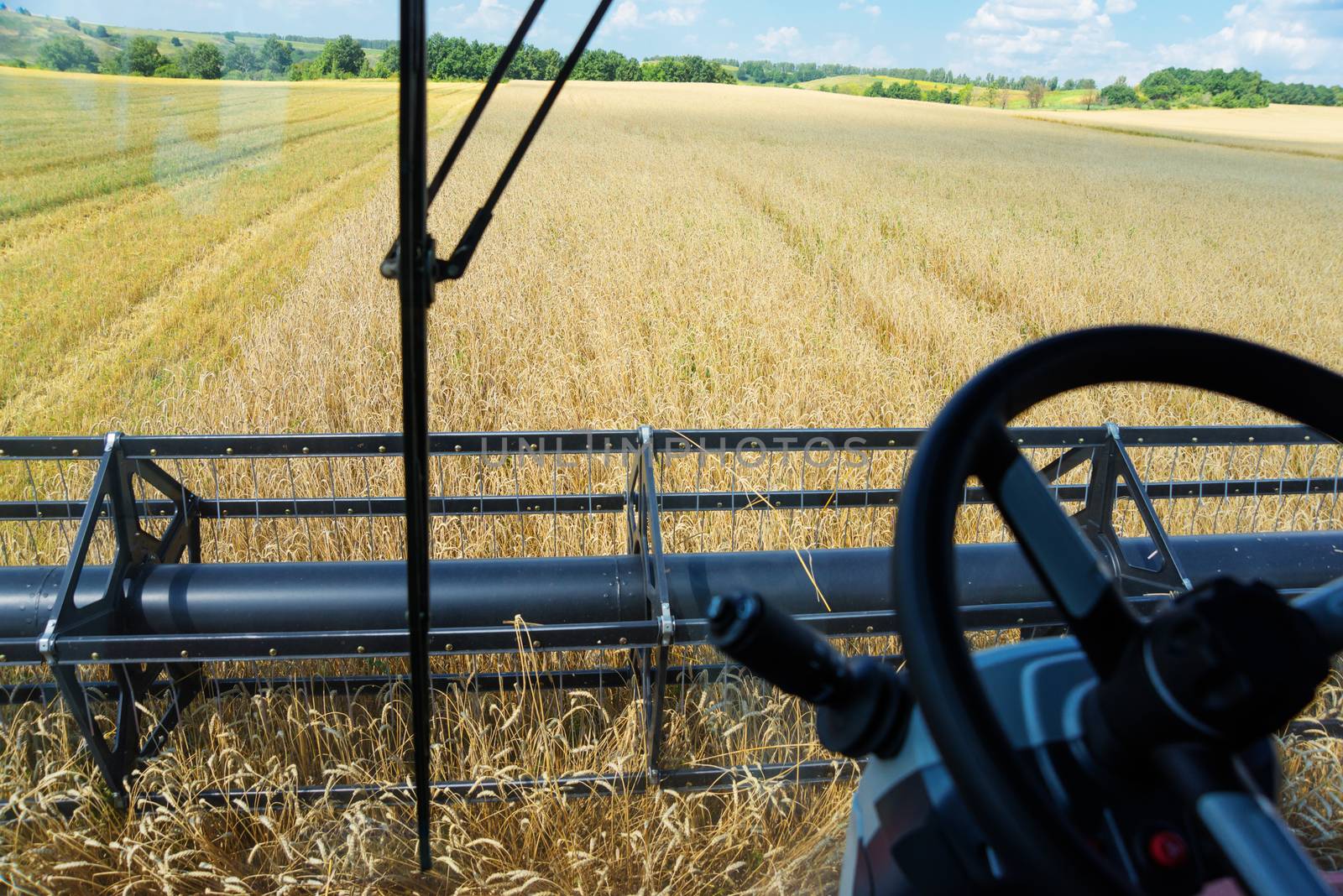Harvesting the wheat field: the view from the cabin of a combine harvester