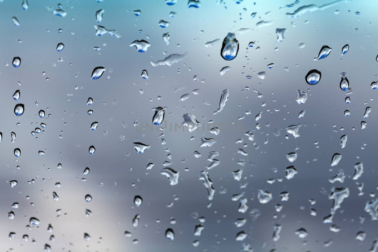 Water drops on the glass