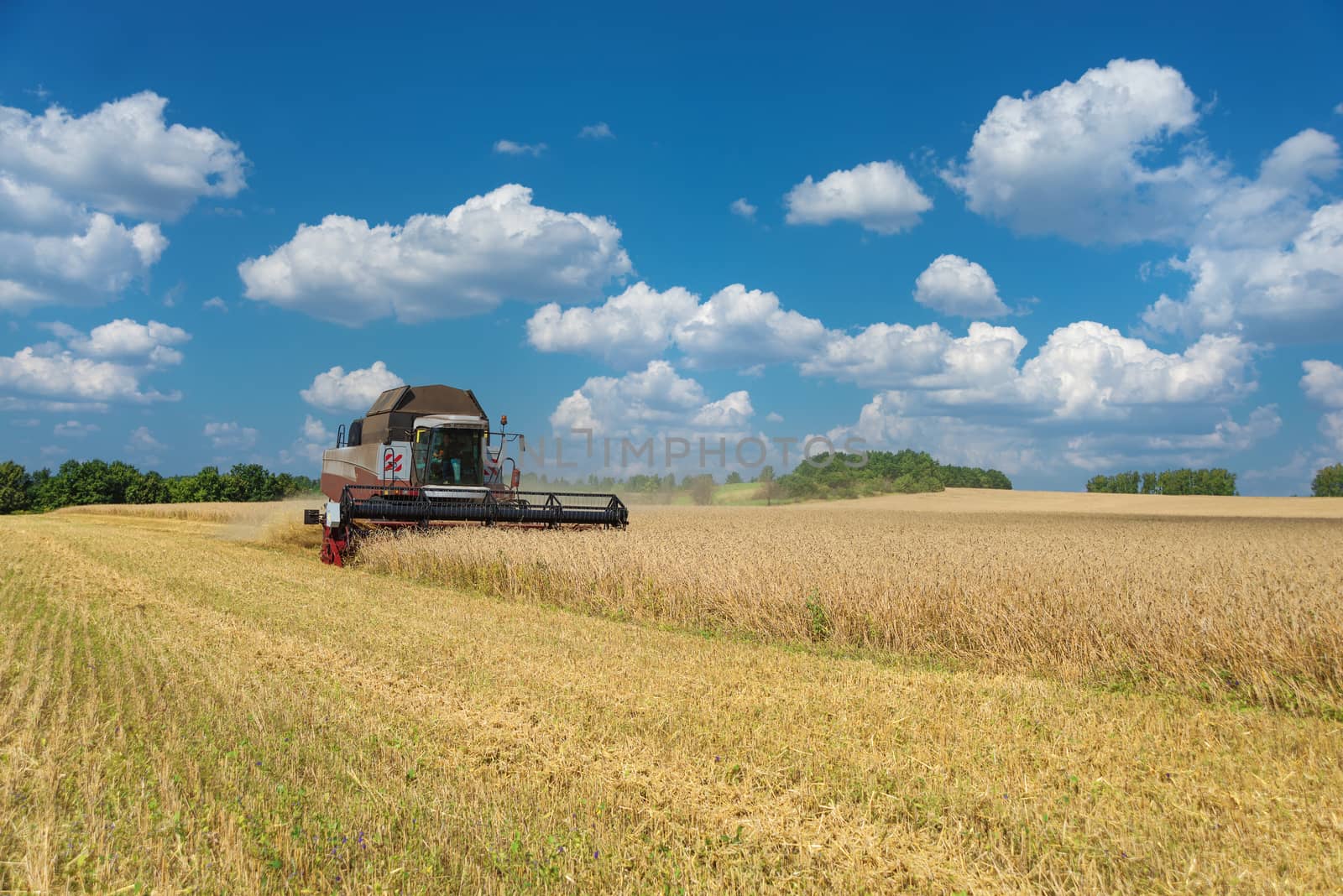 Harvester on a field of wheat by Epitavi