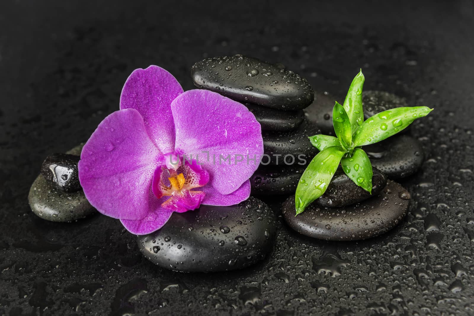 Spa concept with zen stones, orchid flower and bamboo by Epitavi