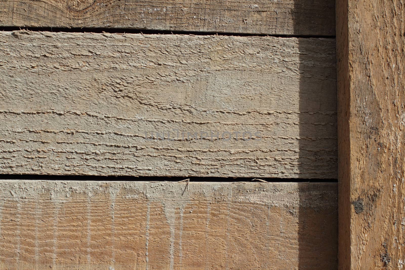 Pine boards  Barn wall, wood texture, abstract background