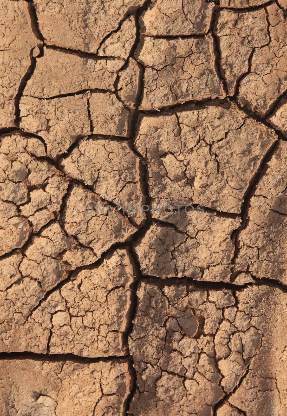 Dry cracked earth background. Clay desert texture