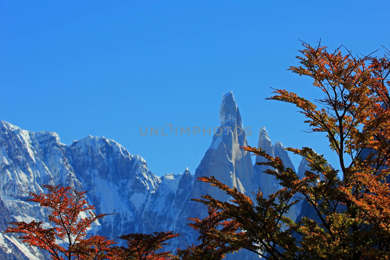 Cerro Torre mountain in autumn colors. Los Glaciares National park, Argentina, close front in focus by cicloco