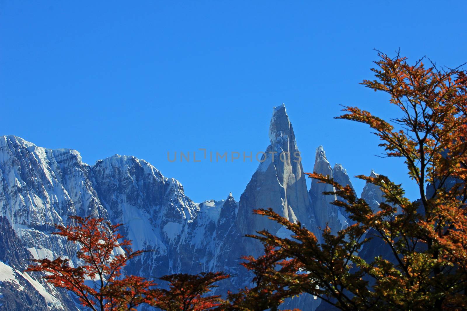 Cerro Torre mountain in autumn colors. Los Glaciares National park, Argentina, background mountain in focus by cicloco