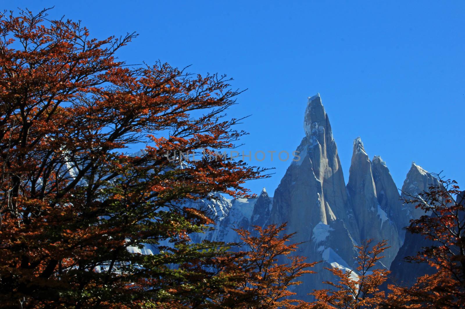 Cerro Torre mountain in autumn colors. Los Glaciares National park, Patagonia, Argentina