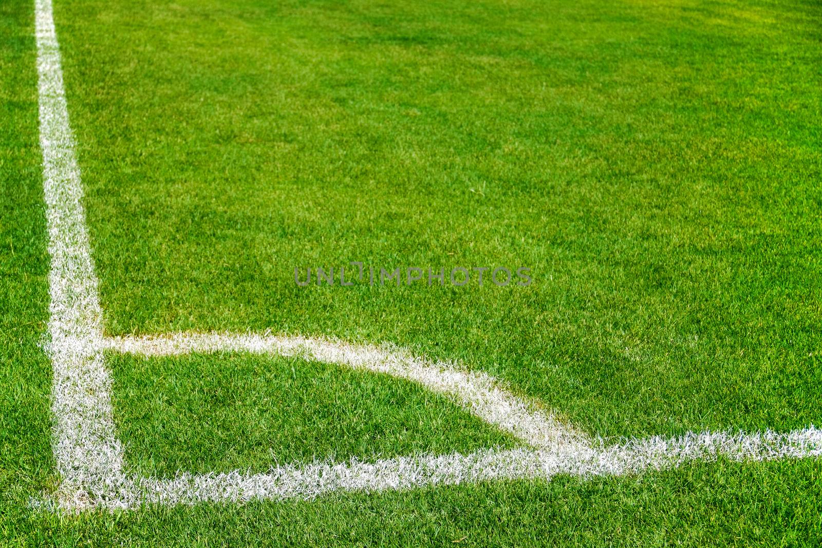 white corner line on beautiful green grass of soccer field, football field