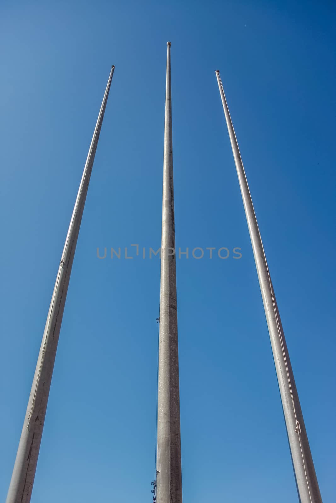 tree flagpole vertical up to blue sky in Stadium