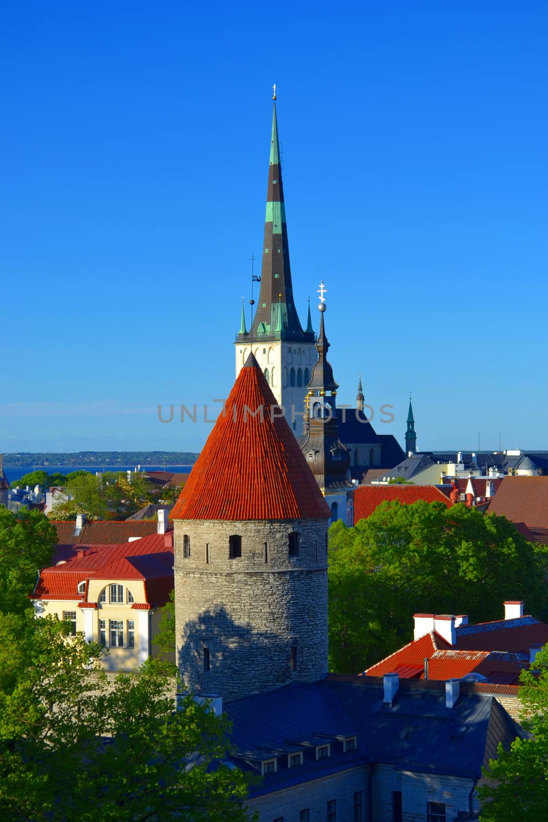 Tallinn, Estonia, old town view of cityscape.