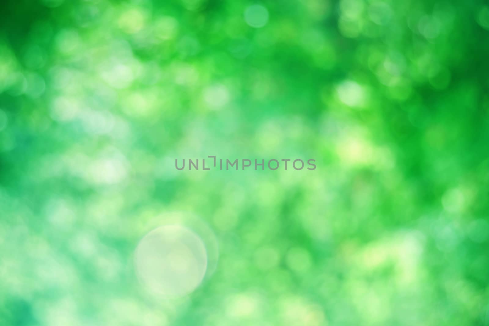 Blurred abstract natural yellow-green background with beautiful bokeh