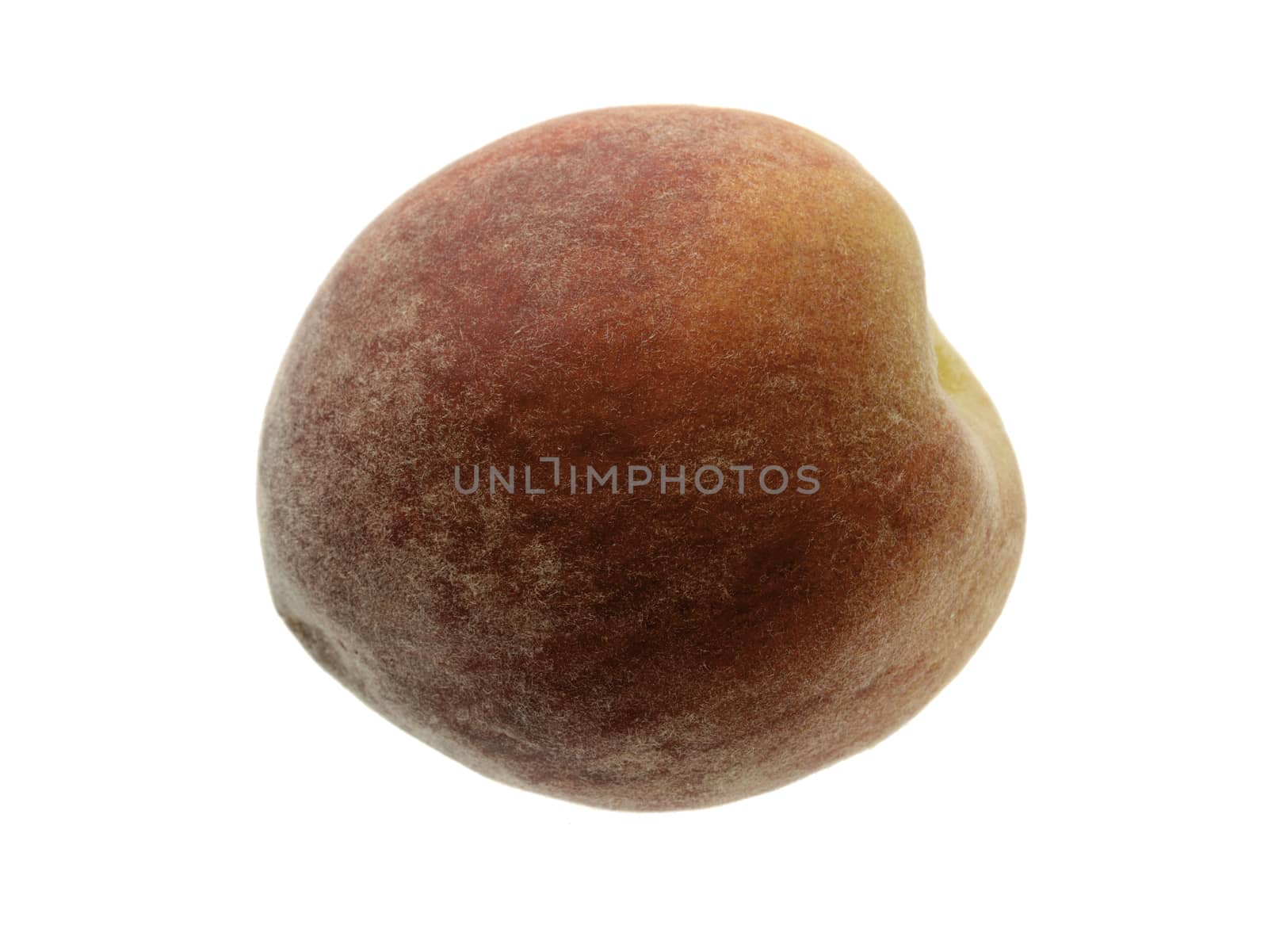 Peach Fruit On White Background by gstalker