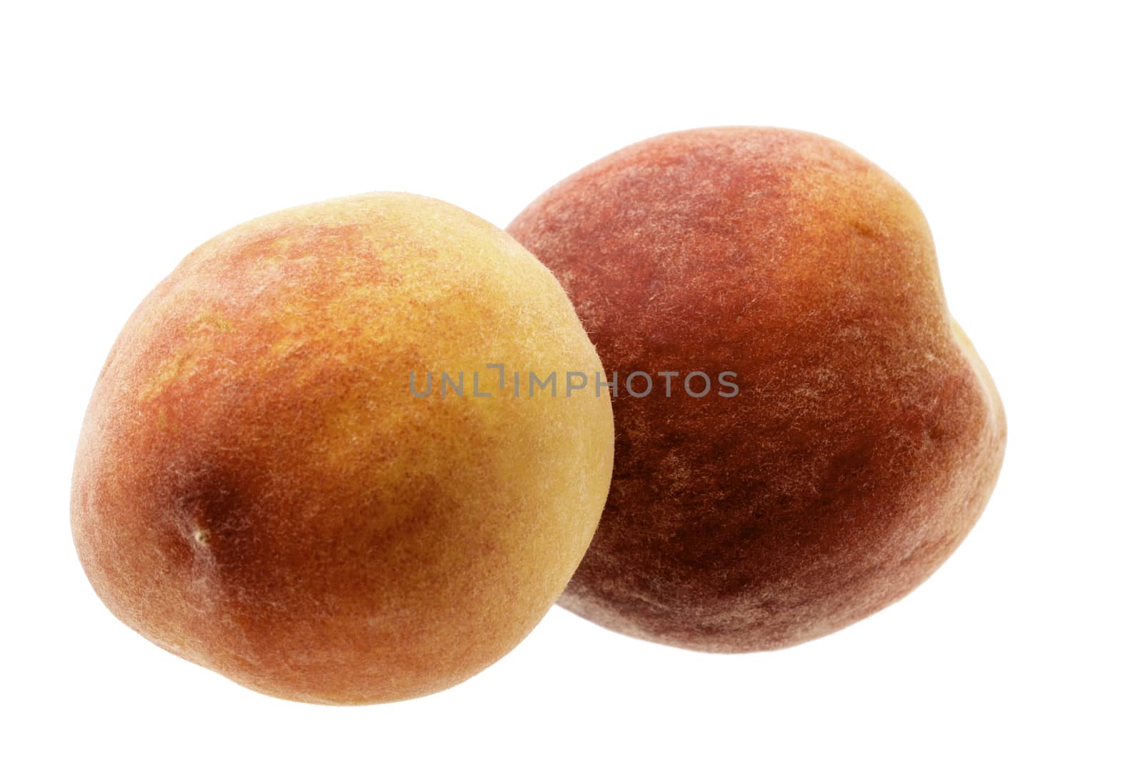 Two Peaches On White Background by gstalker