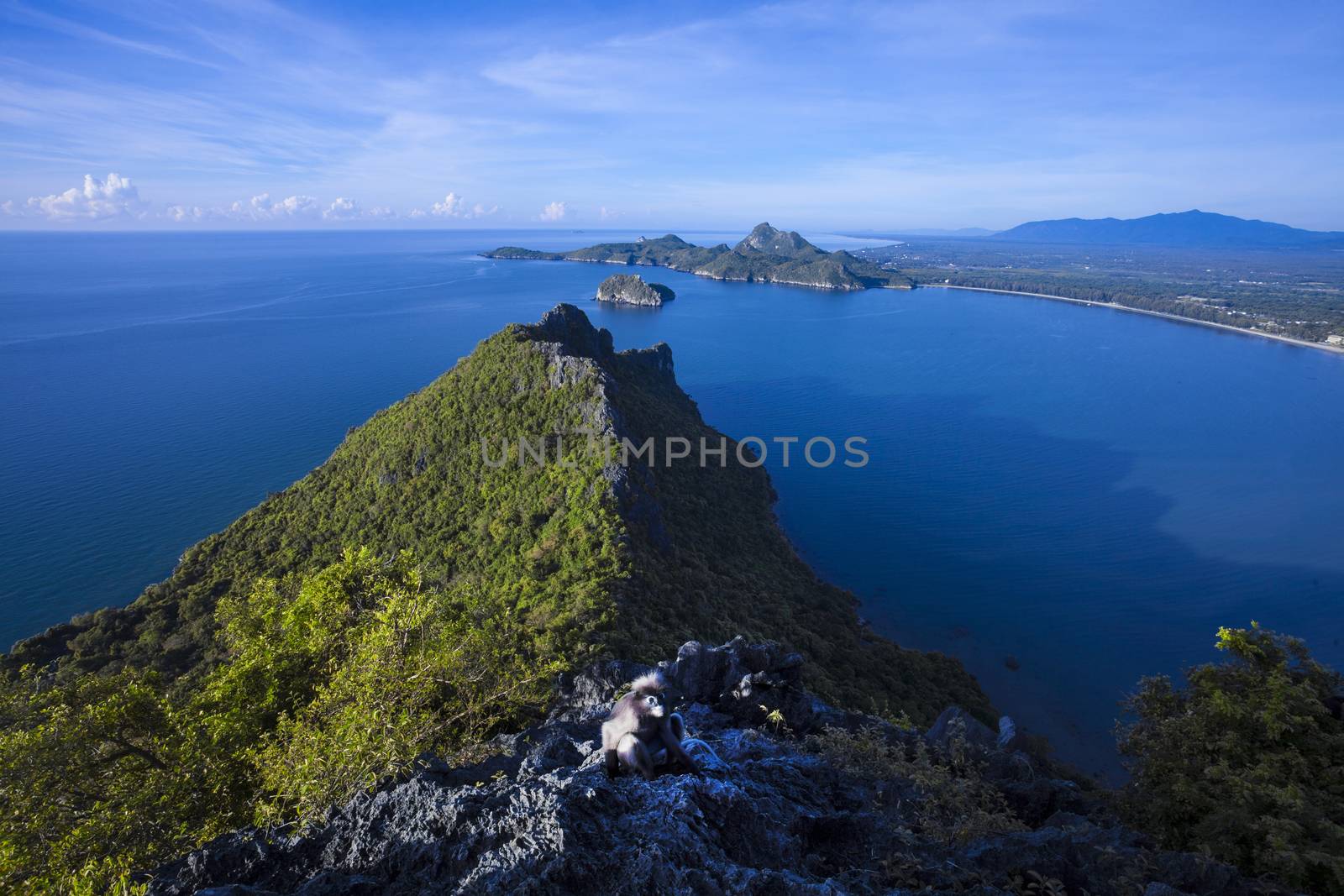 Amazing summer landscape with mountains sea blue sky sun and beautiful,Viewpoint Prachuap Bay.The dusky leaf monkey, spectacled langur, or spectacled leaf monkey.