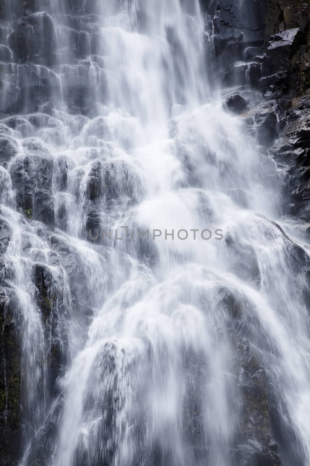 Close up waterfall  Natural background  waterfall Colorful leaves waterfall thailand tropical, Khao Nan National Park,Sunanta Waterfall Nakhon Si Thammarat Thailand.