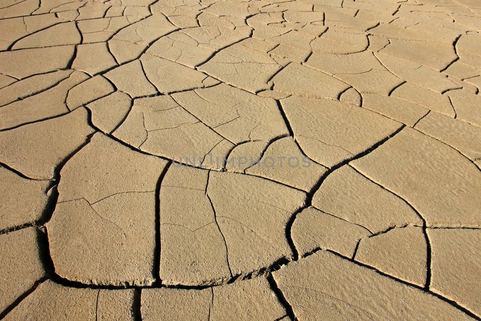 Dry earth and cracks texture, Argentina by cicloco