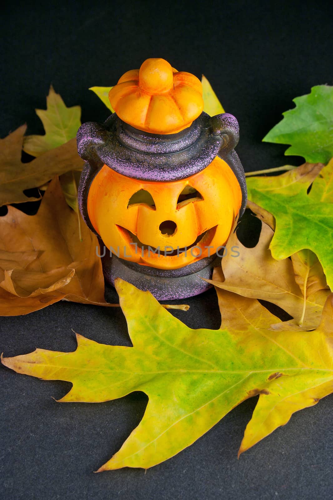 Halloween Lantern and Leafs on Black Background by Kartouchken