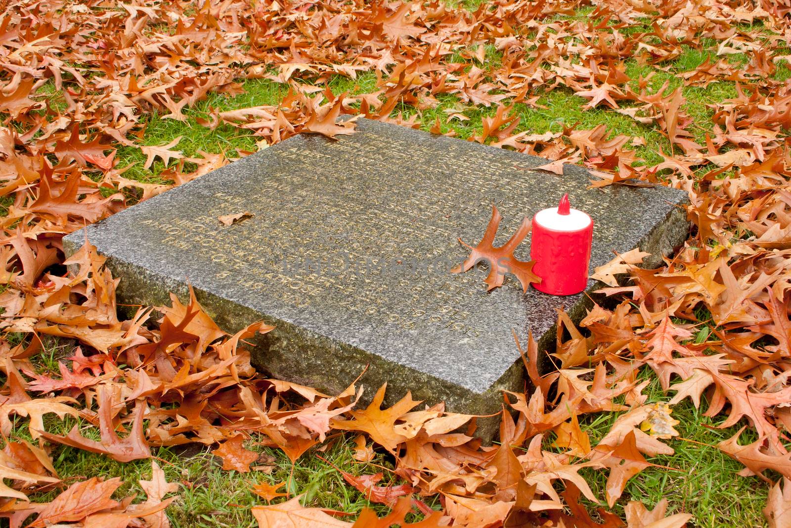 The German Military Cemetery of World War I in Vladslo Belgium