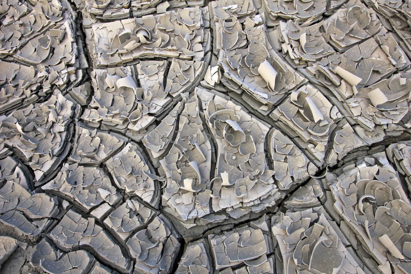 Dry earth and cracks texture, Argentina by cicloco
