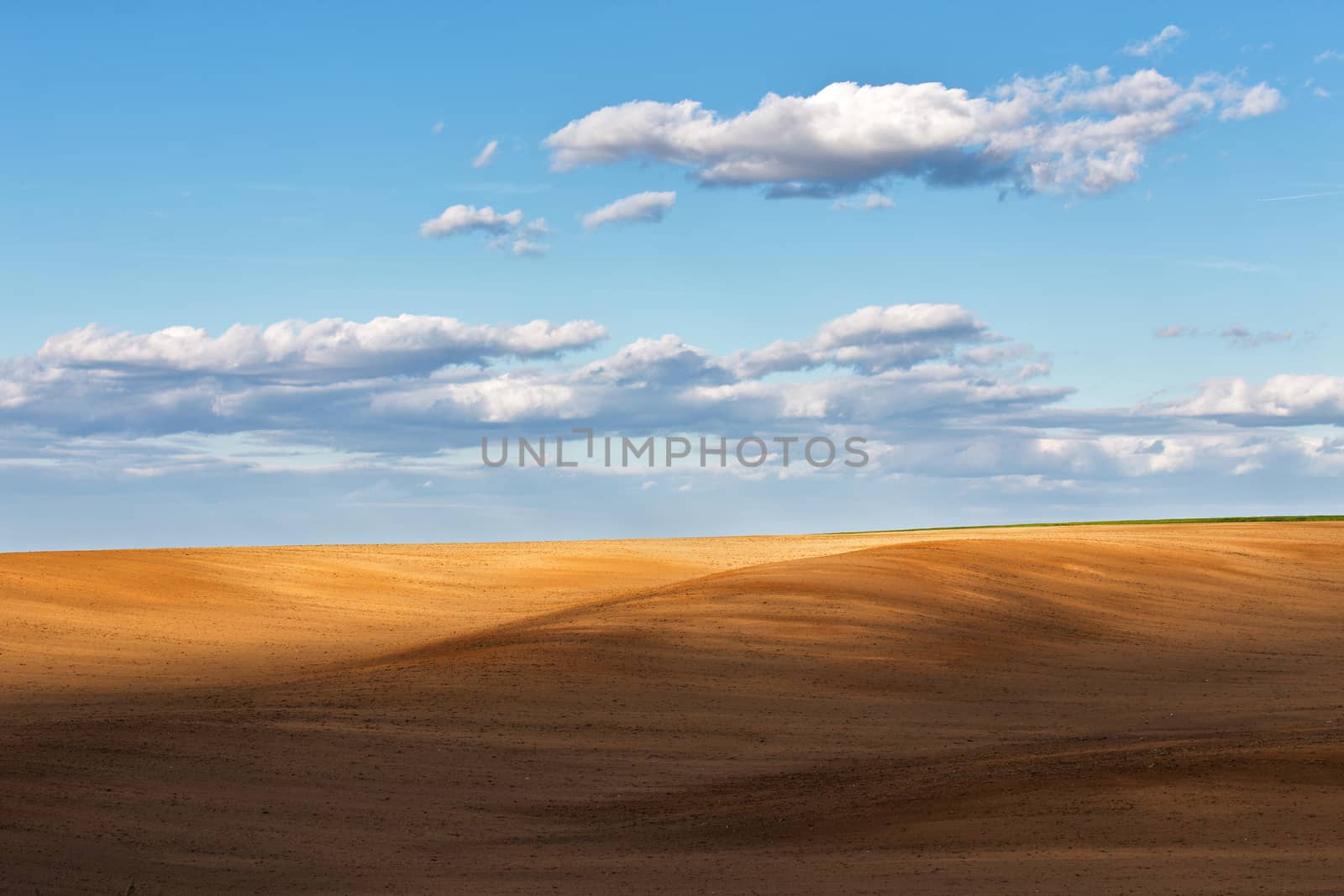 Arable field under a blue cloudy sky by weise_maxim
