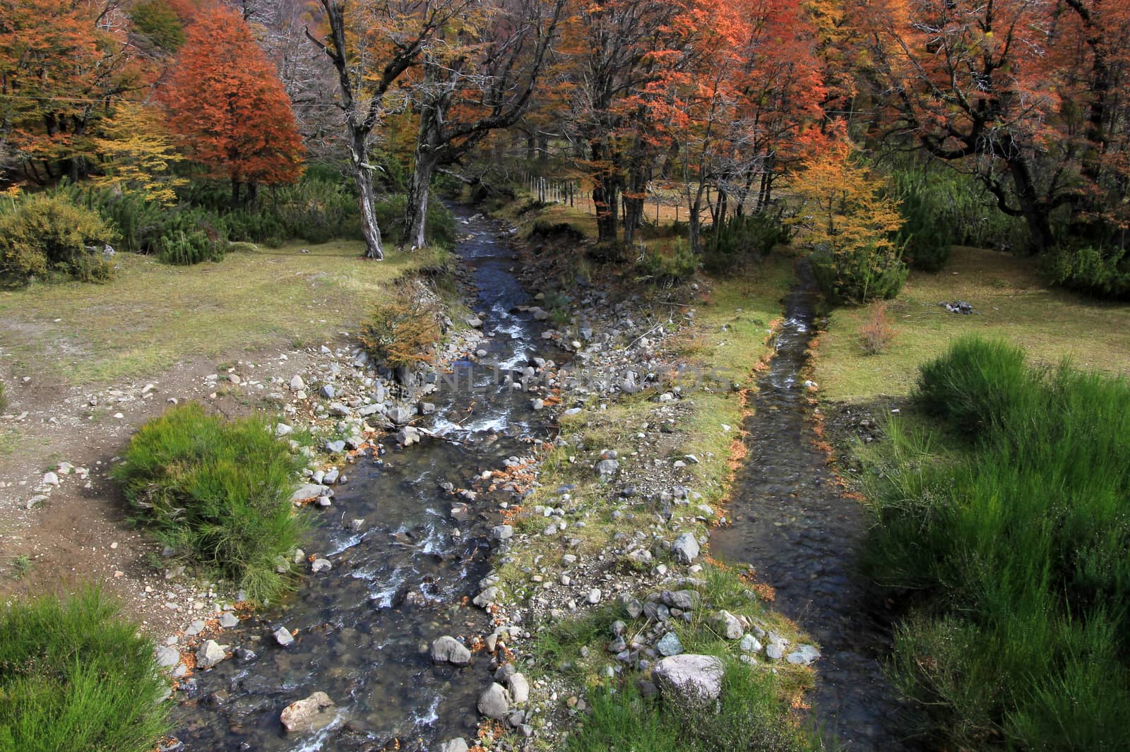 The river divides, one to the Pacific, the other to the Atlantic, Arroyo Partido, Argentina by cicloco