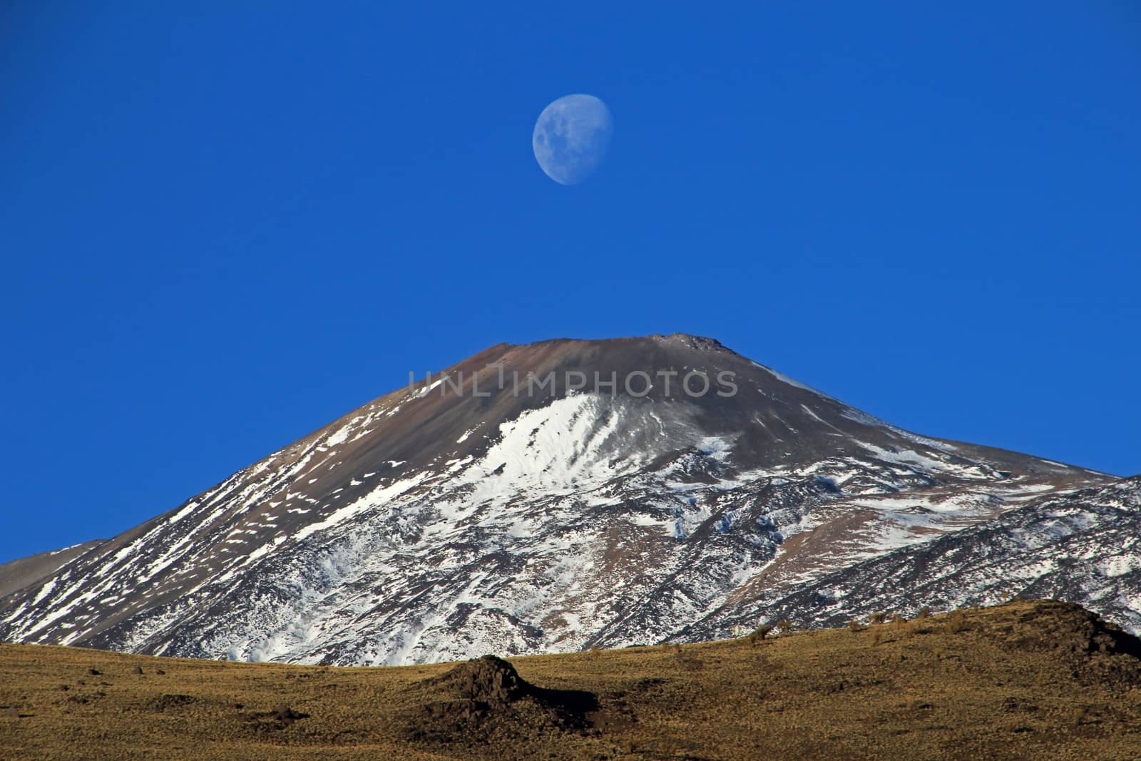 Snowcovered Volcano Tromen with full moon, Argentina by cicloco