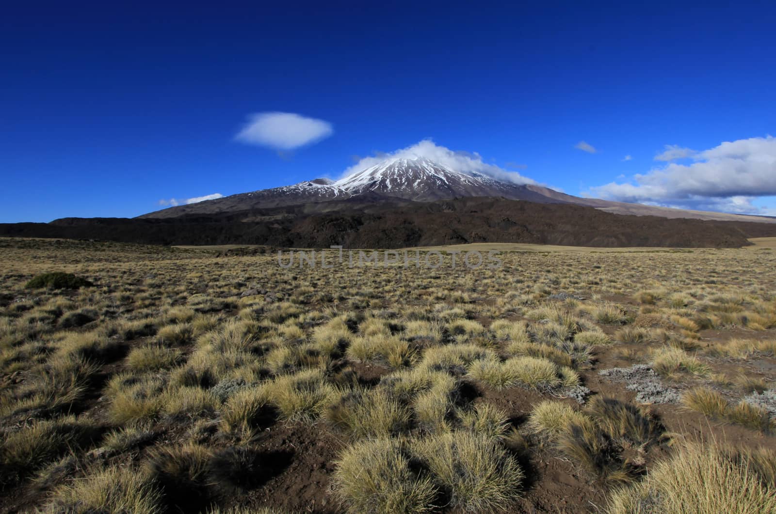 Snowcovered Volcano Tromen in northern Patagonia, Argentina