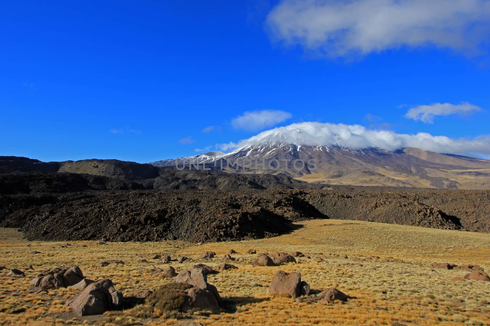 Snowcovered Volcano Tromen, Argentina by cicloco