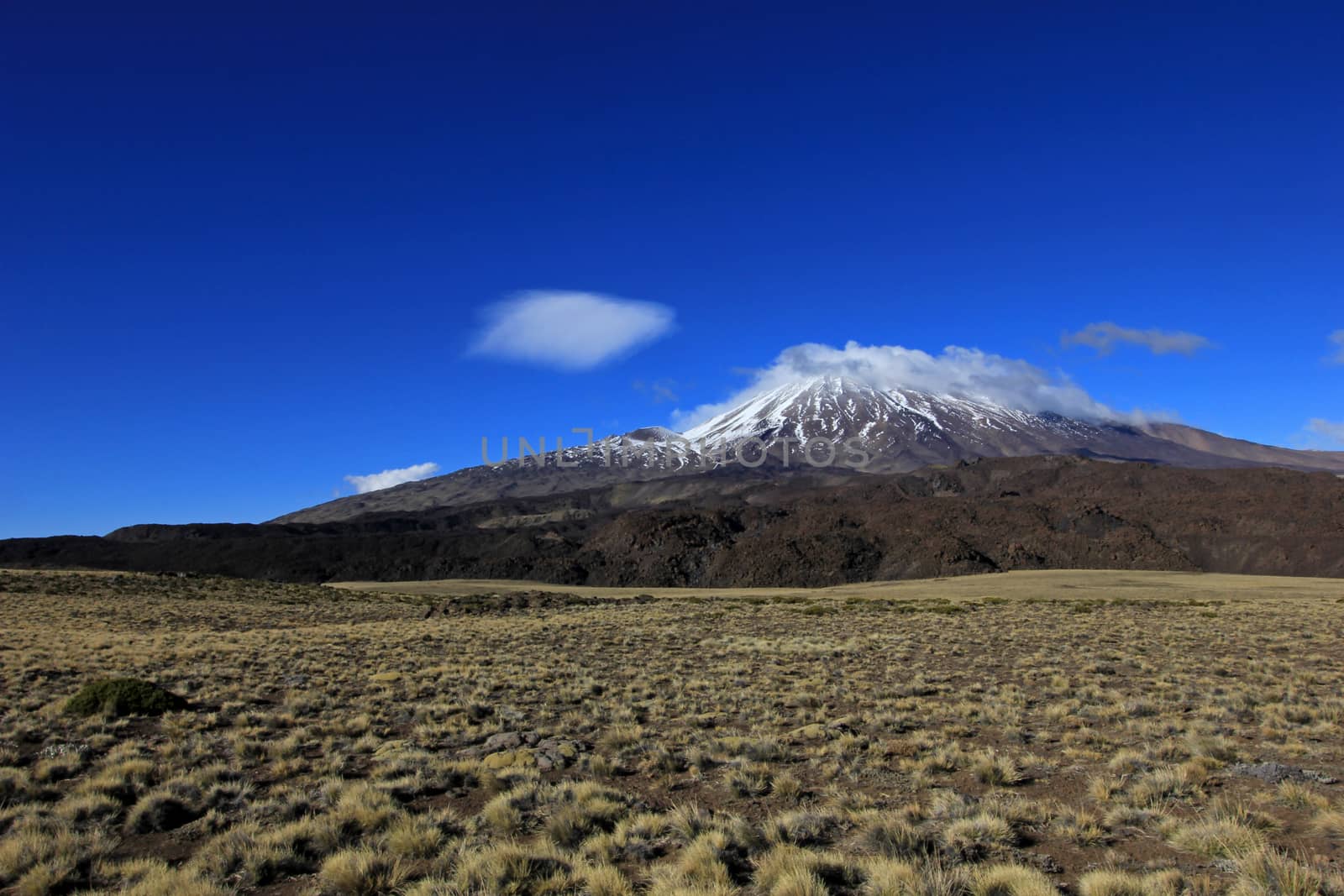 Snowcovered Volcano Tromen, Argentina by cicloco