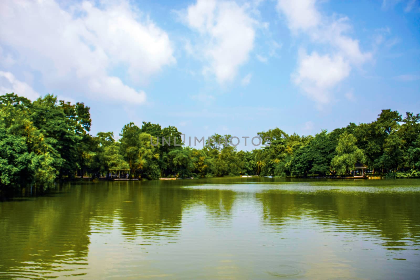 beautiful reflecting trees and blue sky on pond in park of Silpakorn University, Nakhonpathom