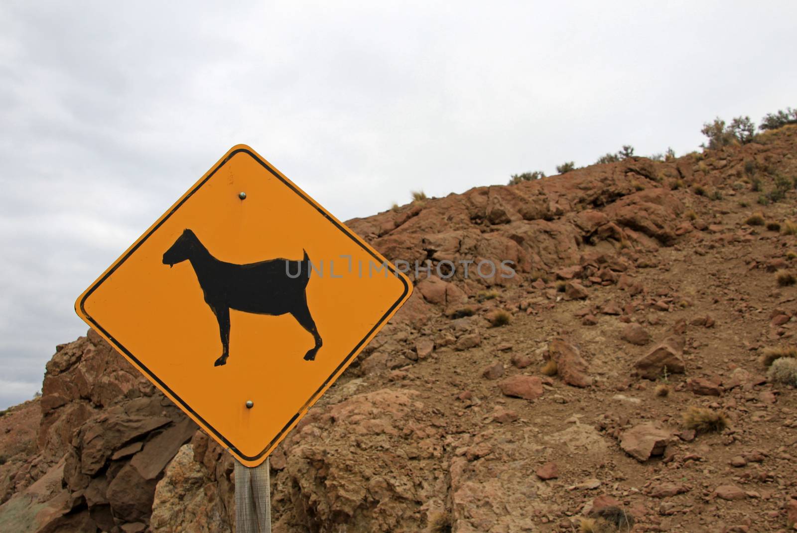 Warning sign for goats on road, Patagonia, Argentina by cicloco
