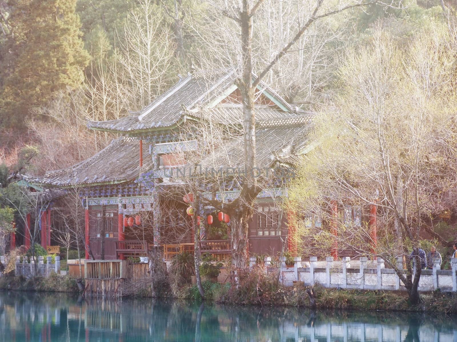 Nature background concept : The beautiful garden of imperial palace in China