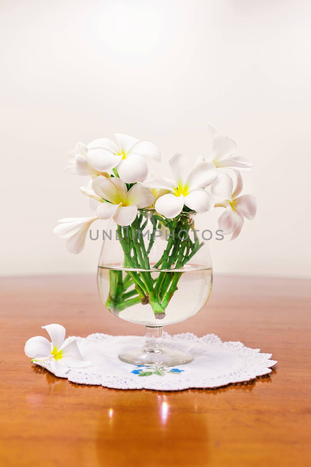 Still life with white spring summer flowers by nopparats