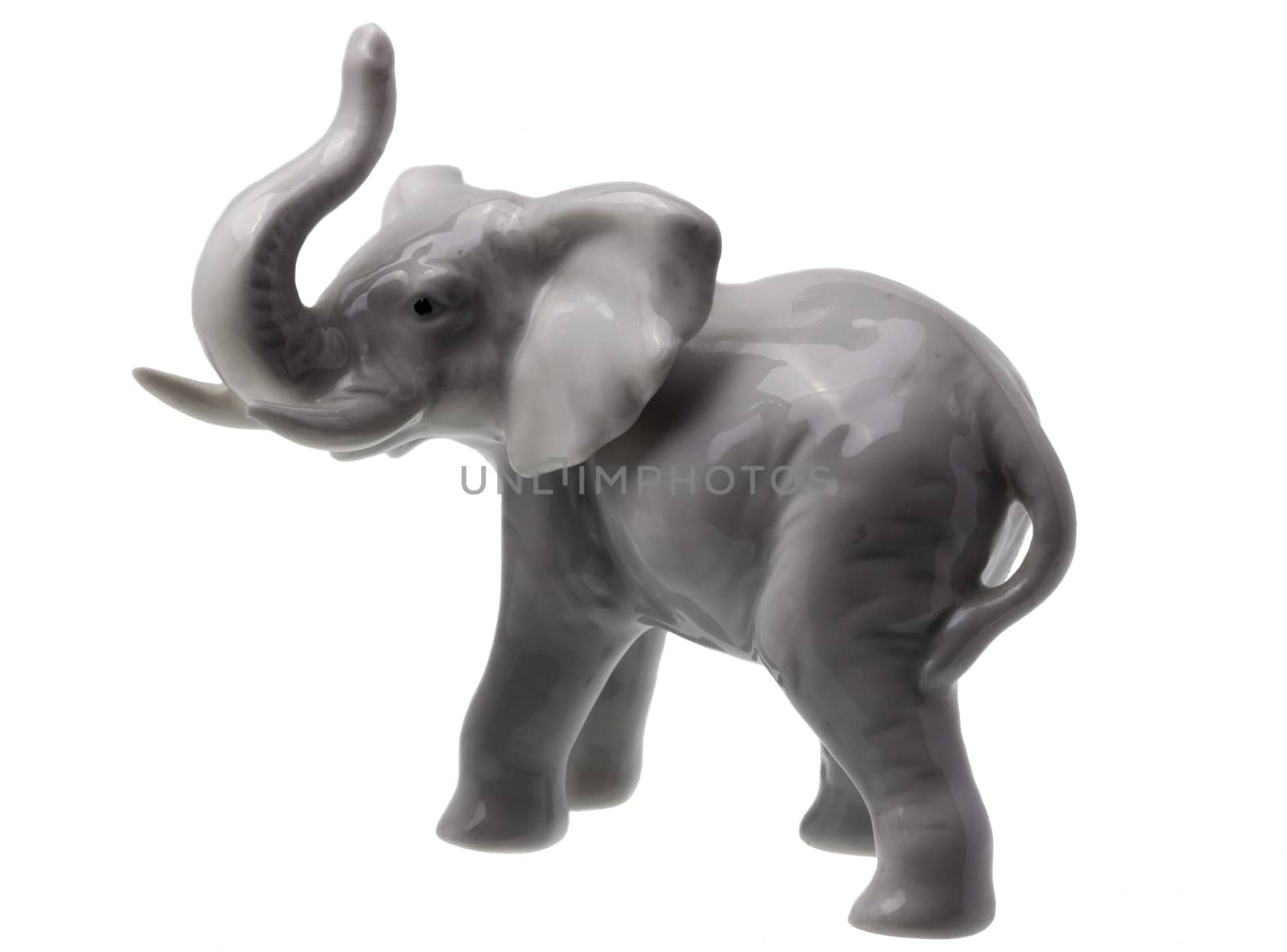 Grey Elephant Figure on white Background by gstalker