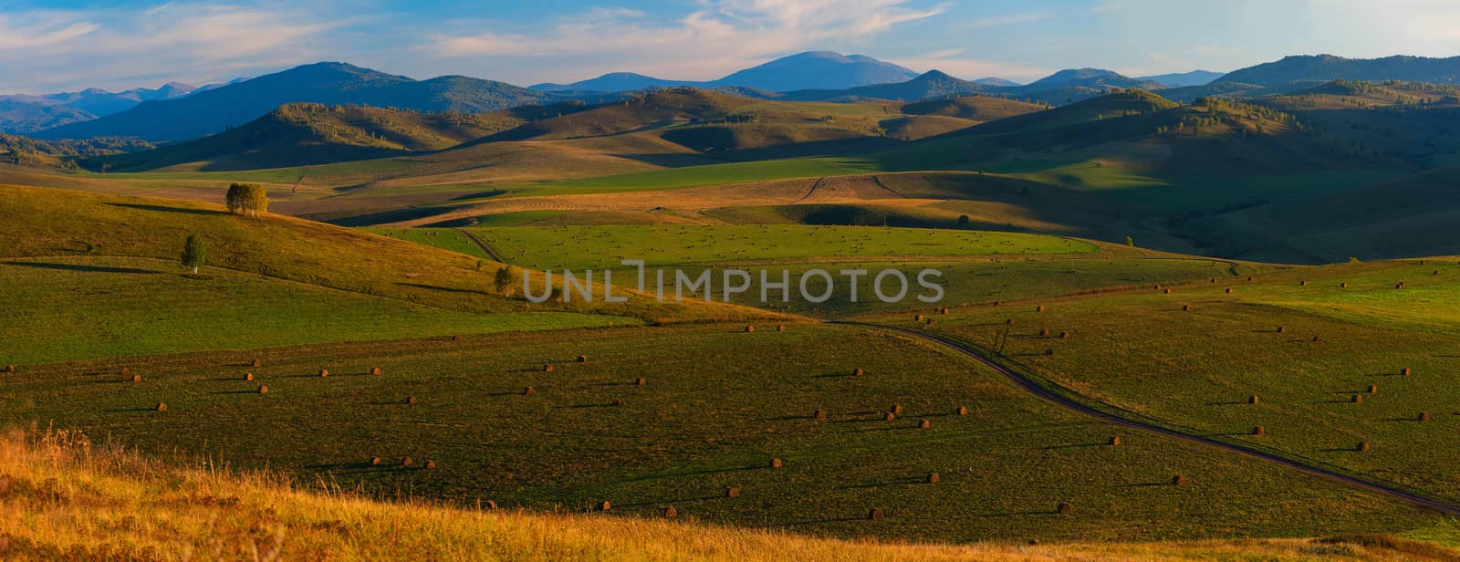 Beauty summer evening in the mountains in Altay, panoramic picture