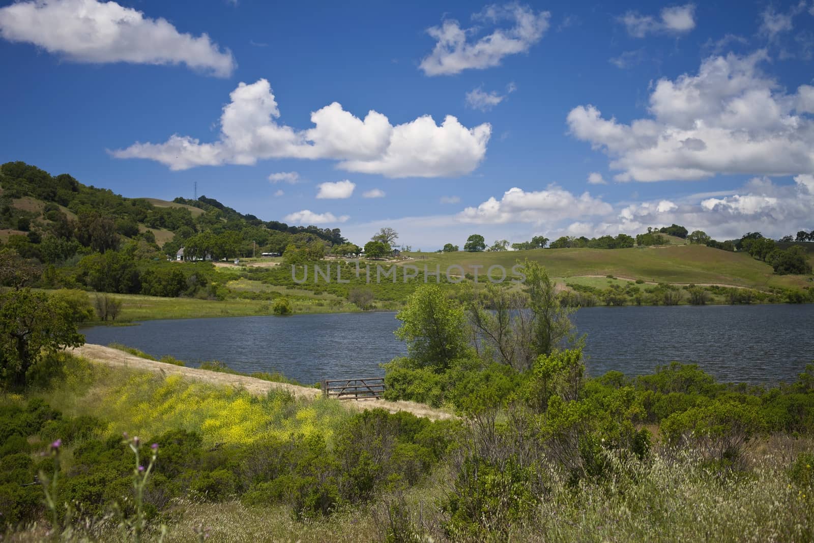 This image was taken at Grant Ranch located in San Jose, California. The park offers many miles of hiking, fishing, and camping in the park.