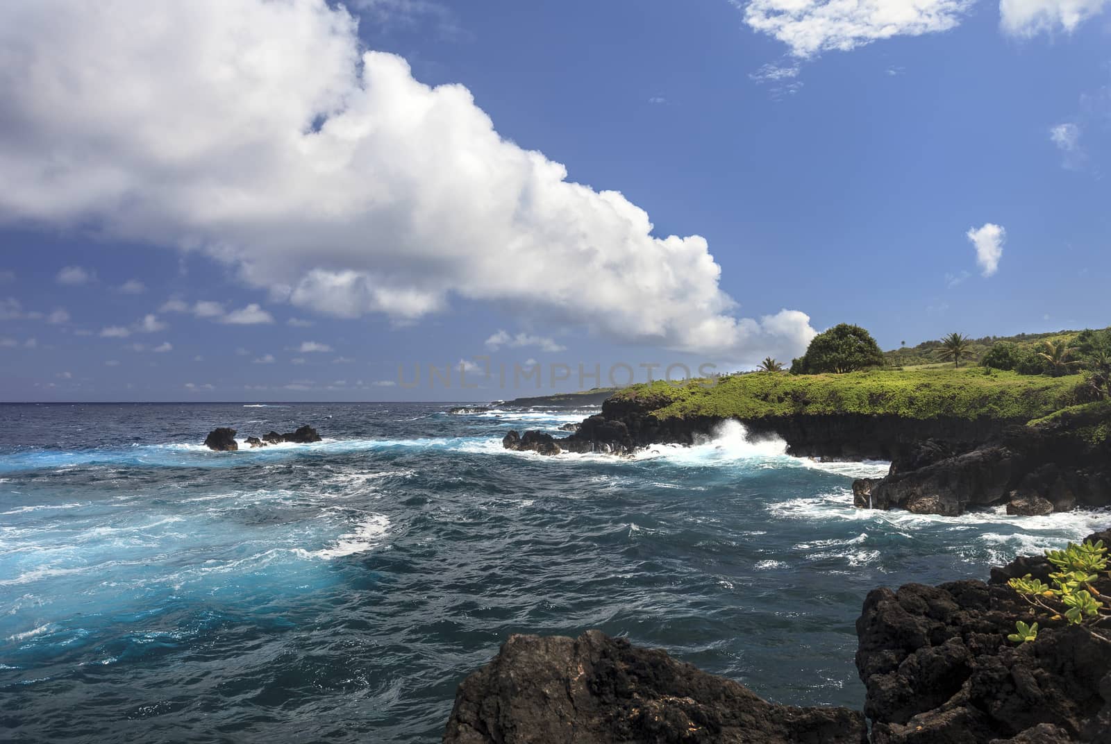 This is an image of Waianapanapa State Park, located in Hana on the island of Maui, Hawaii. Below is one of the parks most exciting areas due to its rocky and rugged cliffs.