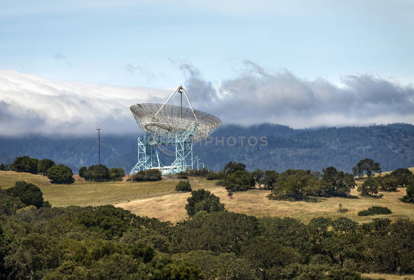 Stanford Dish by mmarfell