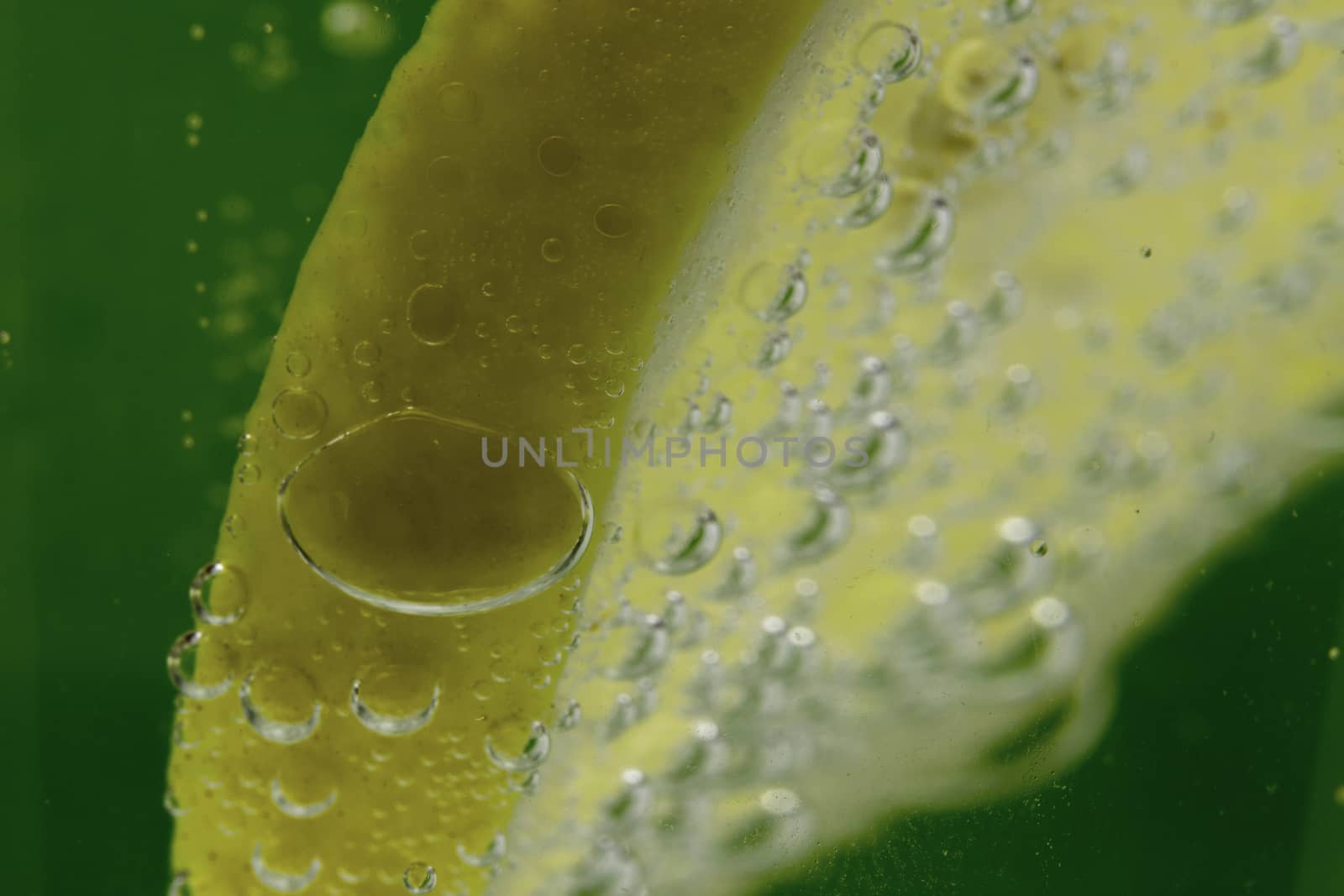 Slice Of Lemon In Mineral Water Bubbles On Green Background by gstalker