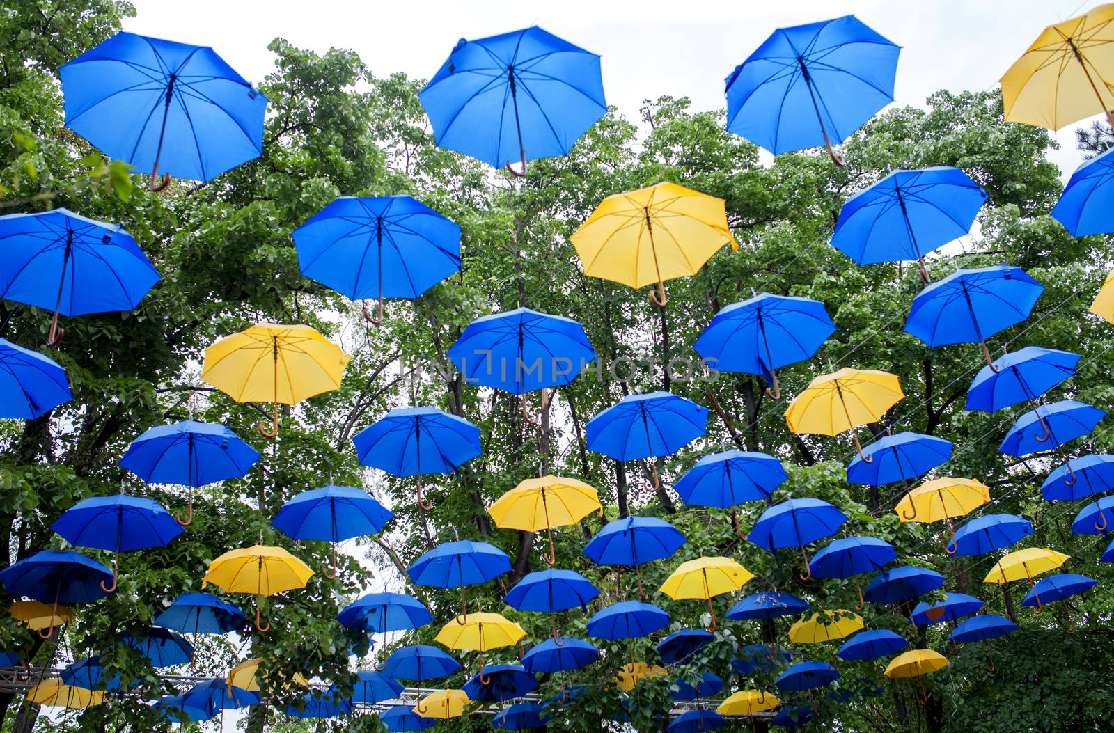 Blue and yellow umbrellas outdoor by Angel_a