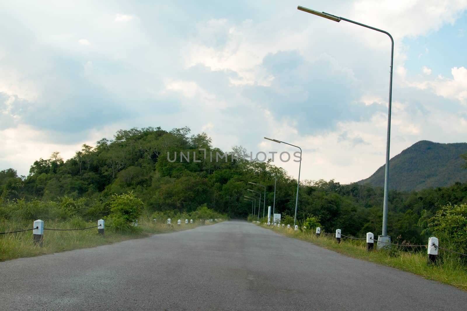 Asphalt road with Natural tree background