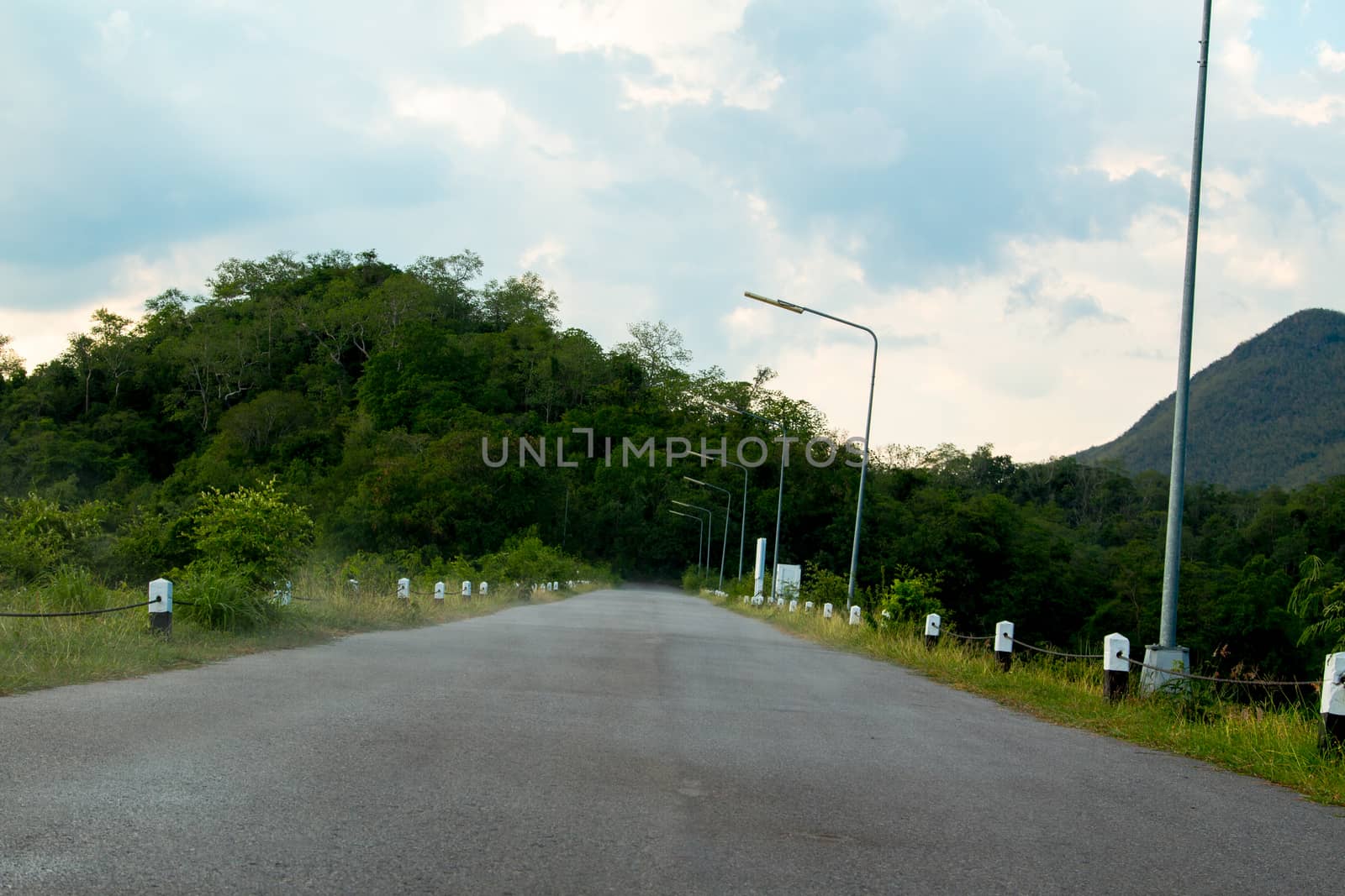 Asphalt road with Natural tree background by N_u_T