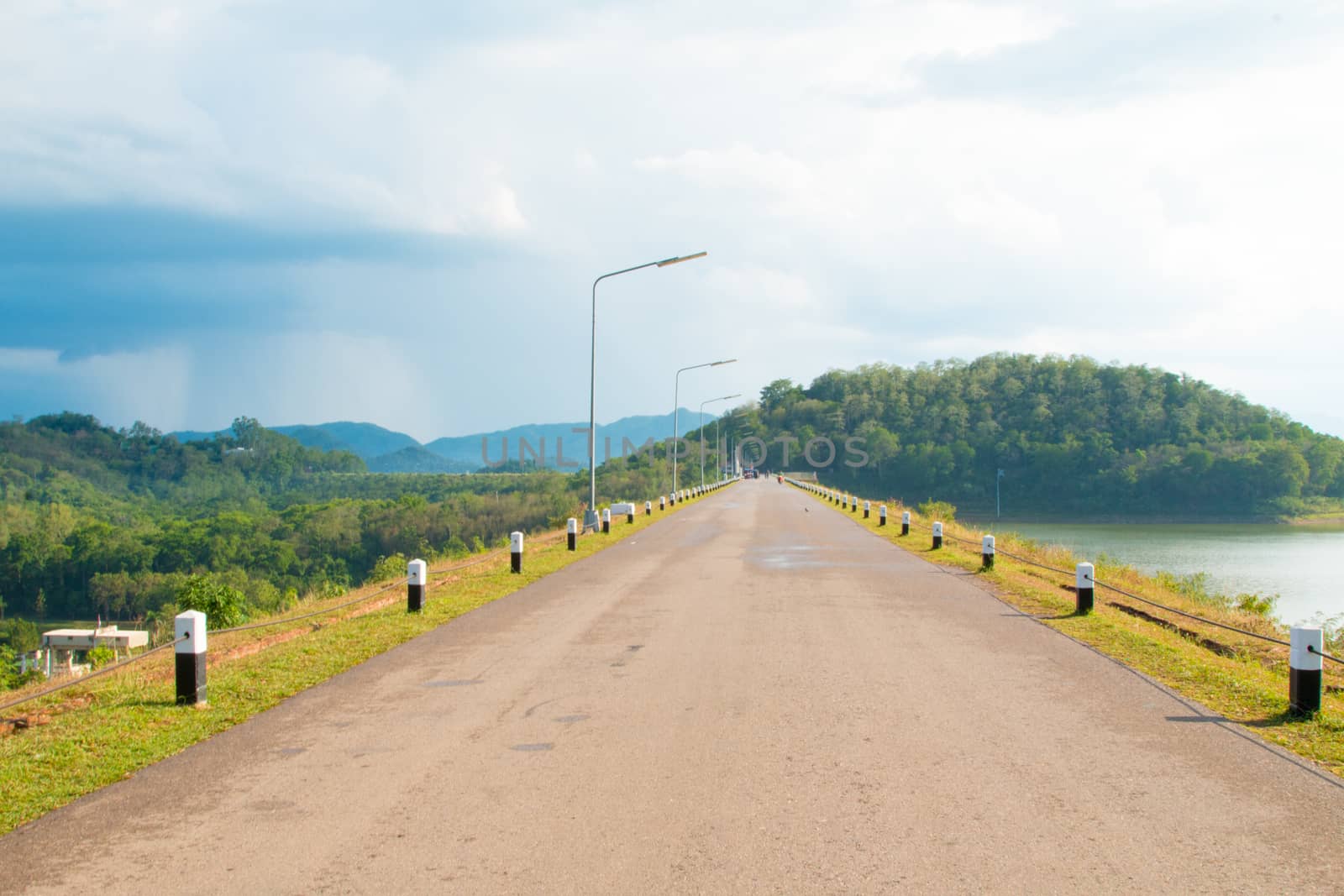 Asphalt road with Natural tree background