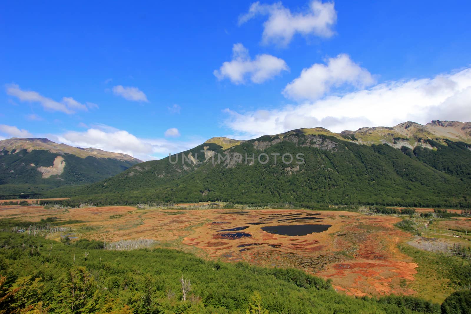 Beautiful landscape near Ushuaia, Tierra Del Fuego, Argentina
