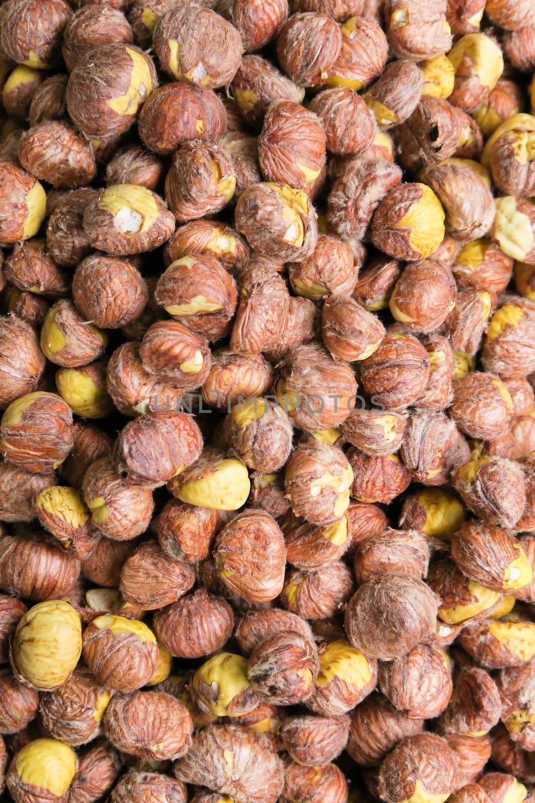 Fresh chestnut background