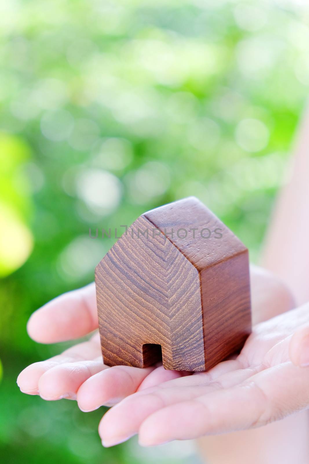 model house in hands