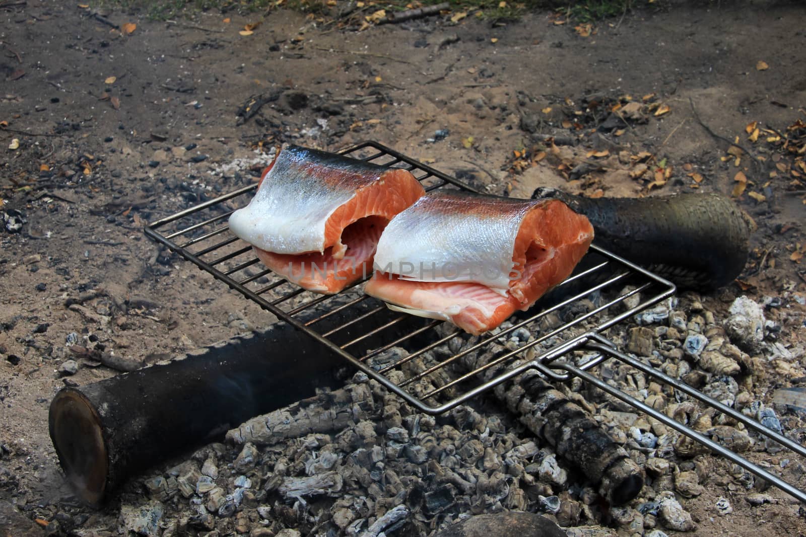 Fresh salmon trout steaks on grill, Patagonia, Chile