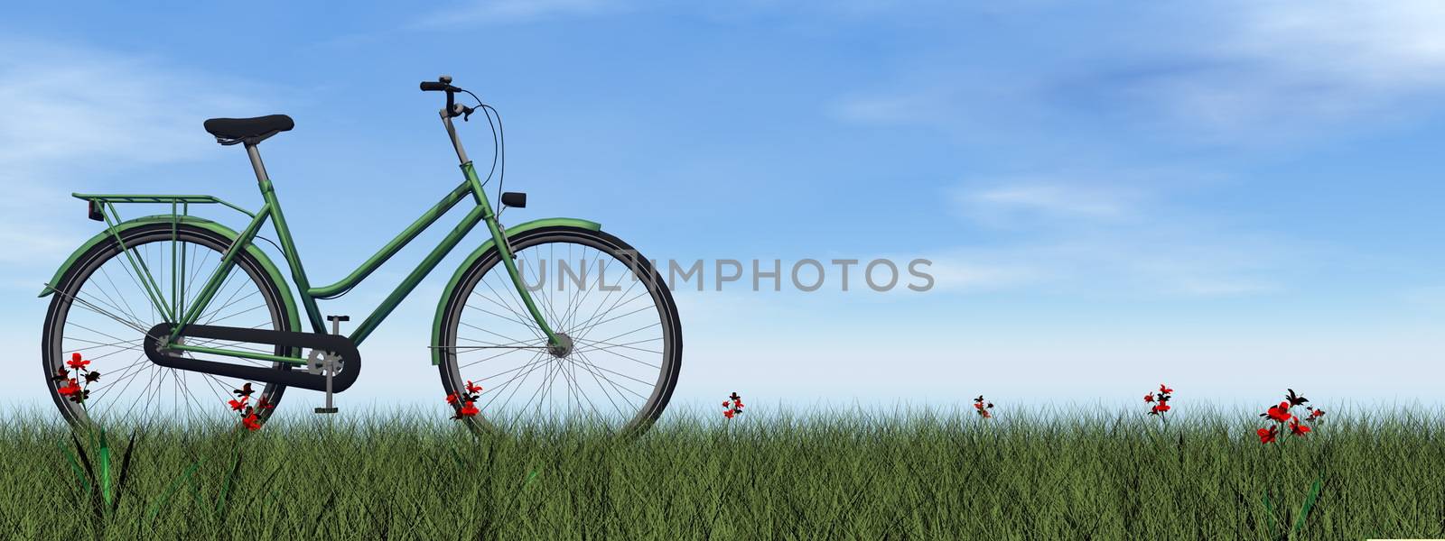 Green lady bicycle - 3D render by Elenaphotos21